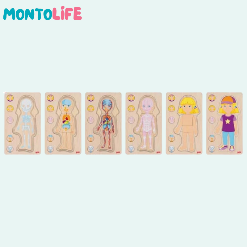 Wooden Layer Puzzle Anatomy Girl – Educational Human Body Learning Toy