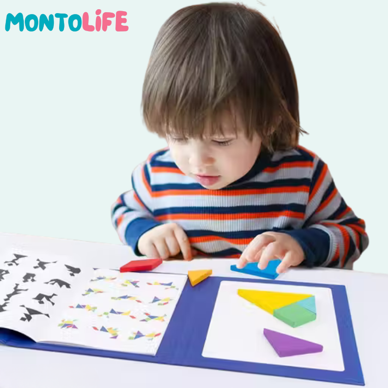 Logic Puzzle Book – Magnetic Tangram Learning Adventure