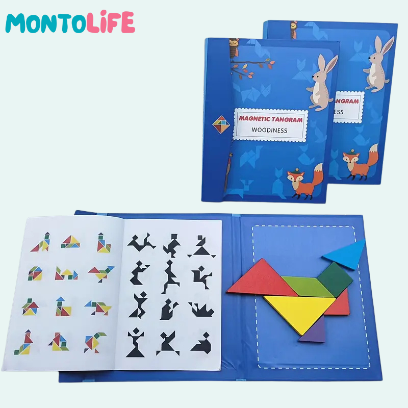 Logic Puzzle Book – Magnetic Tangram Learning Adventure