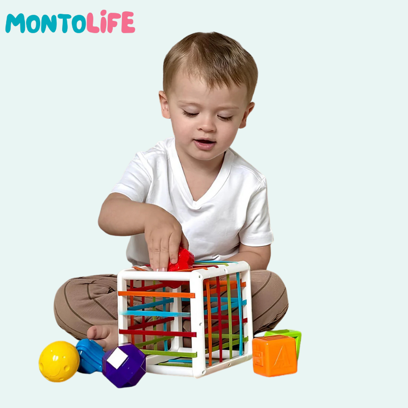 Shape Sorting Blocks – Wooden Educational Toy for Early Learning