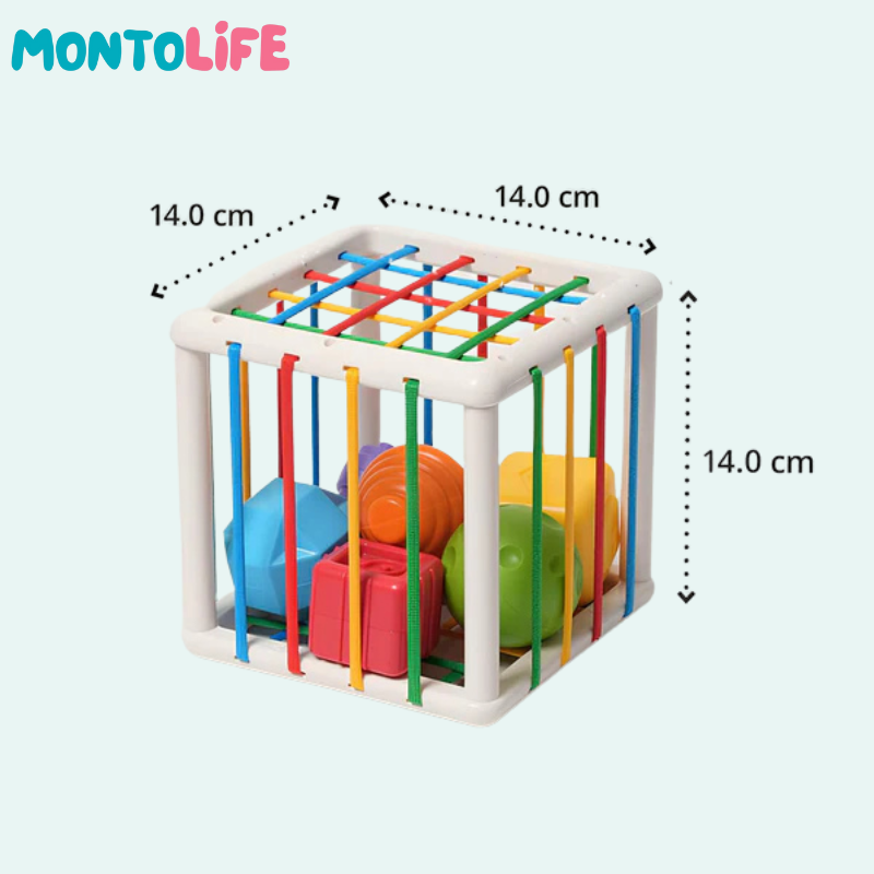 Shape Sorting Blocks – Wooden Educational Toy for Early Learning