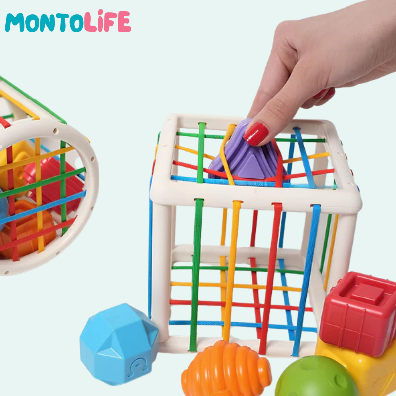 Shape Sorting Blocks – Wooden Educational Toy for Early Learning