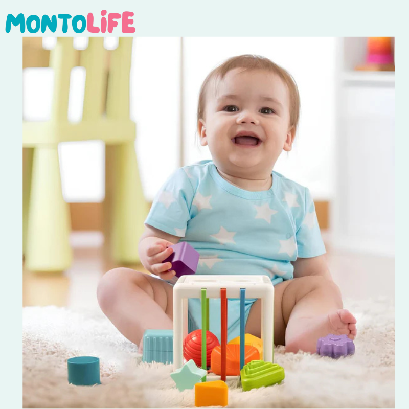 Shape Sorting Blocks – Wooden Educational Toy for Early Learning