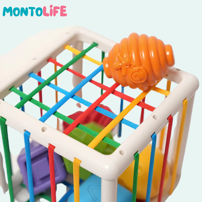 Shape Sorting Blocks – Wooden Educational Toy for Early Learning