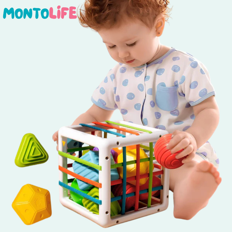Shape Sorting Blocks – Wooden Educational Toy for Early Learning