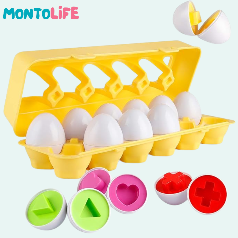 Shape Matching Eggs – Educational Geometry Learning Toy