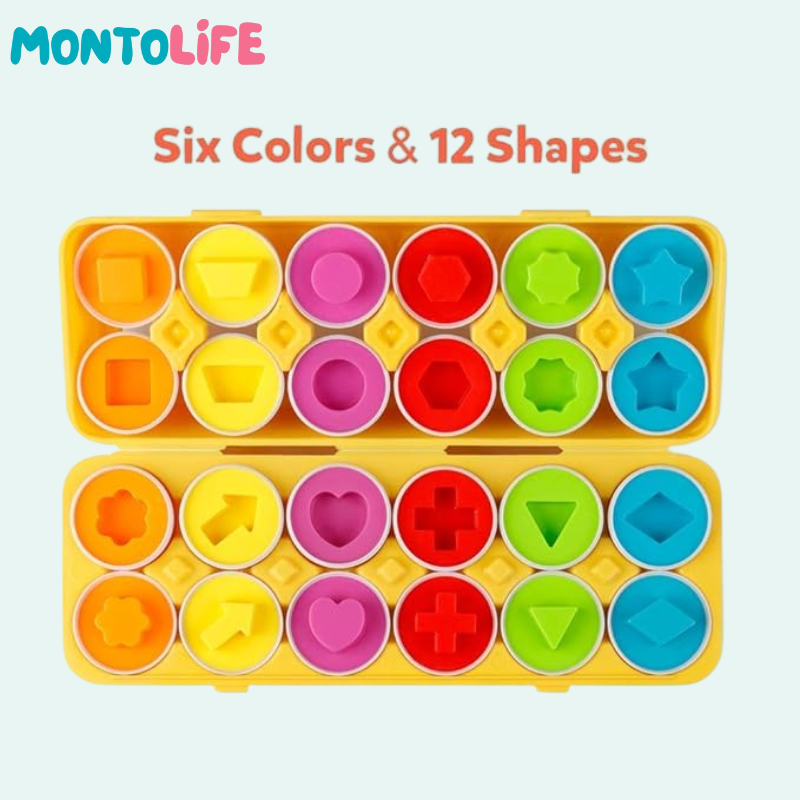 Shape Matching Eggs – Educational Geometry Learning Toy
