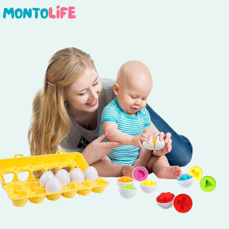 Shape Matching Eggs – Educational Geometry Learning Toy
