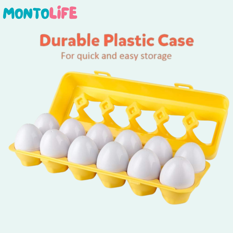 Shape Matching Eggs – Educational Geometry Learning Toy