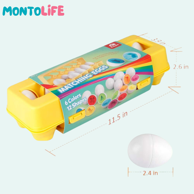 Shape Matching Eggs – Educational Geometry Learning Toy