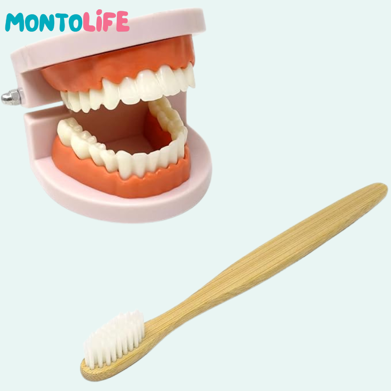 Toothbrushing Set – Fun Learning Kit for Healthy Habits & Daily Routines
