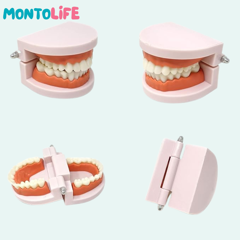 Toothbrushing Set – Fun Learning Kit for Healthy Habits & Daily Routines