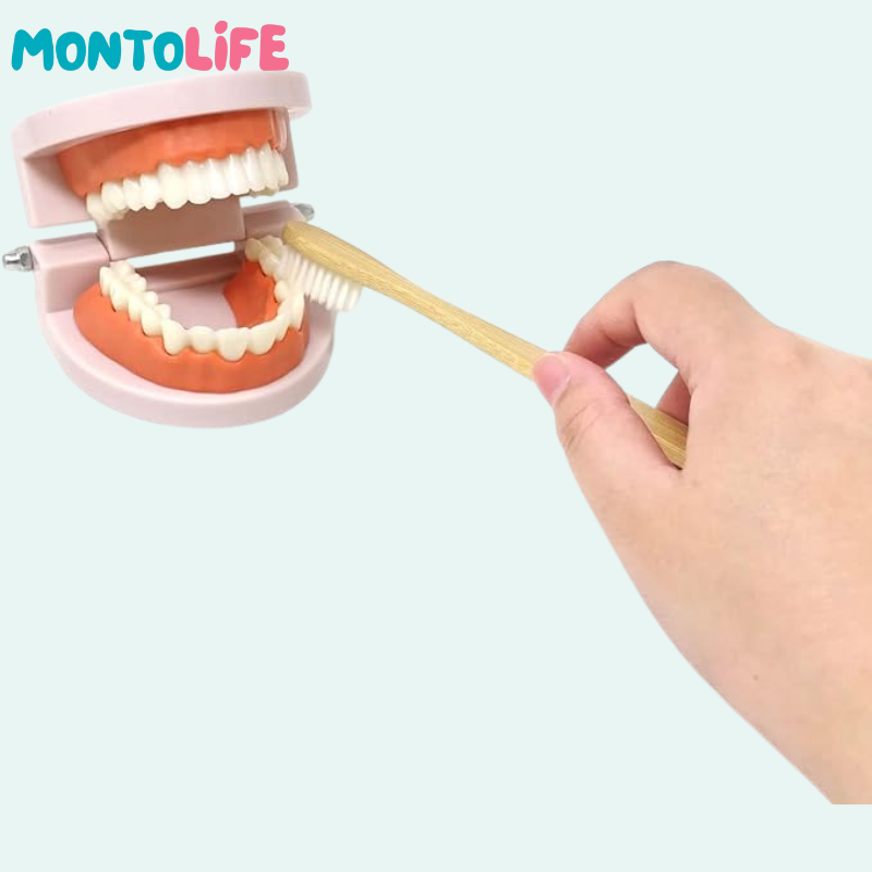 Toothbrushing Set – Fun Learning Kit for Healthy Habits & Daily Routines