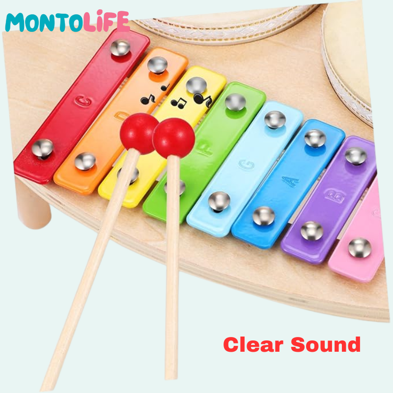 Musical Percussion Kit – Fun, Learning & Sound in Every Beat
