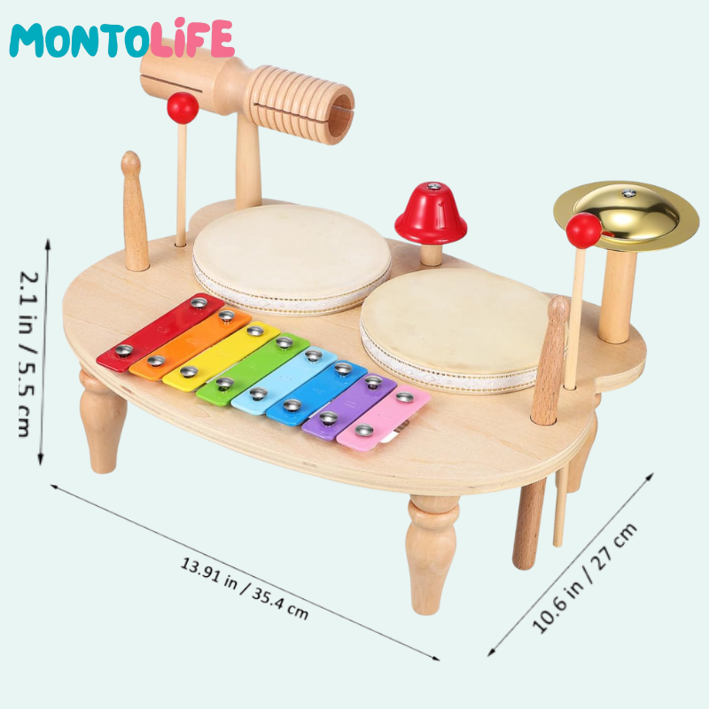 Musical Percussion Kit – Fun, Learning & Sound in Every Beat