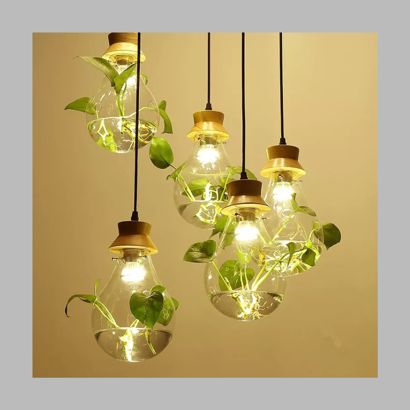 Unique Glass Globe Plant Lamp – Modern LED Terrarium Light