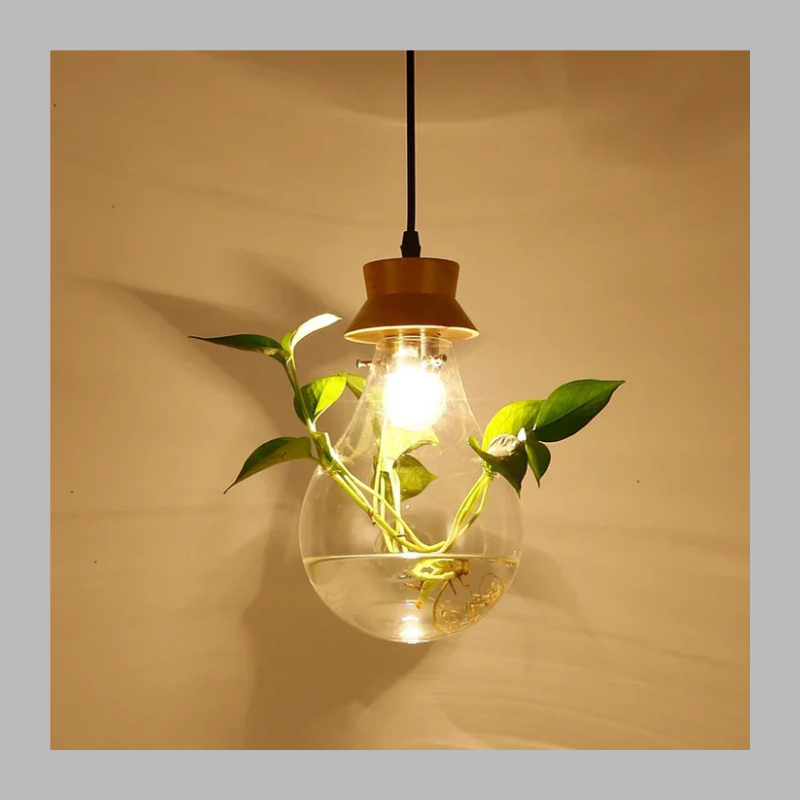 Unique Glass Globe Plant Lamp – Modern LED Terrarium Light