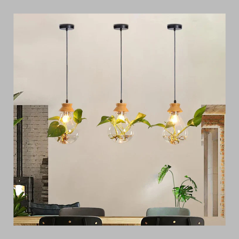 Unique Glass Globe Plant Lamp – Modern LED Terrarium Light