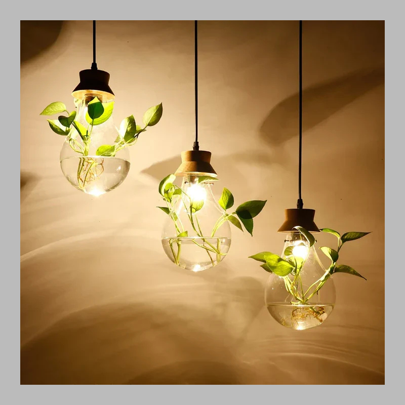 Unique Glass Globe Plant Lamp – Modern LED Terrarium Light