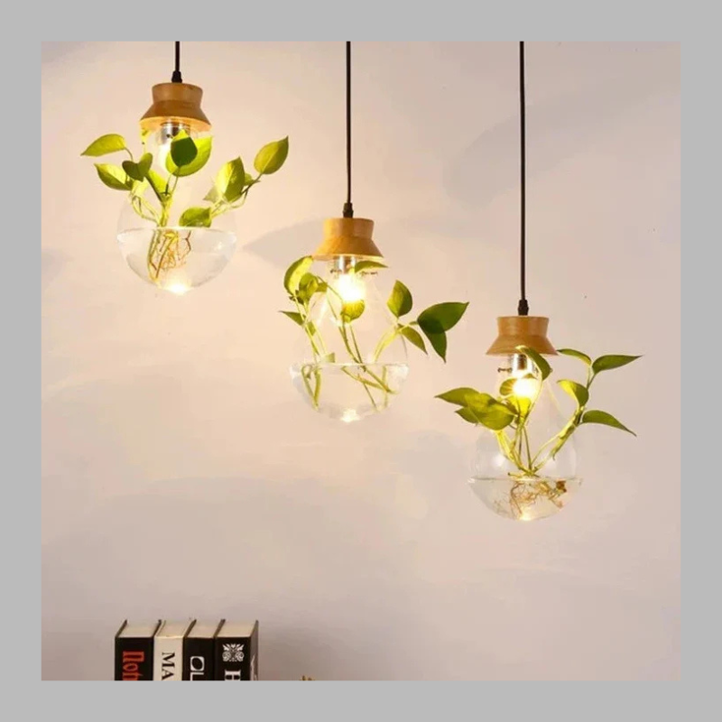 Unique Glass Globe Plant Lamp – Modern LED Terrarium Light