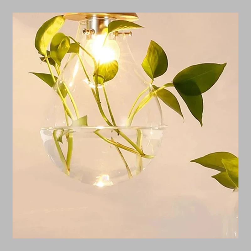 Unique Glass Globe Plant Lamp – Modern LED Terrarium Light