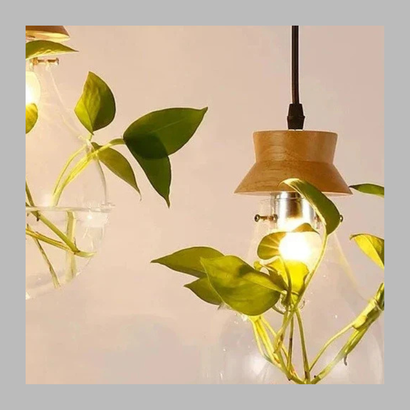 Unique Glass Globe Plant Lamp – Modern LED Terrarium Light
