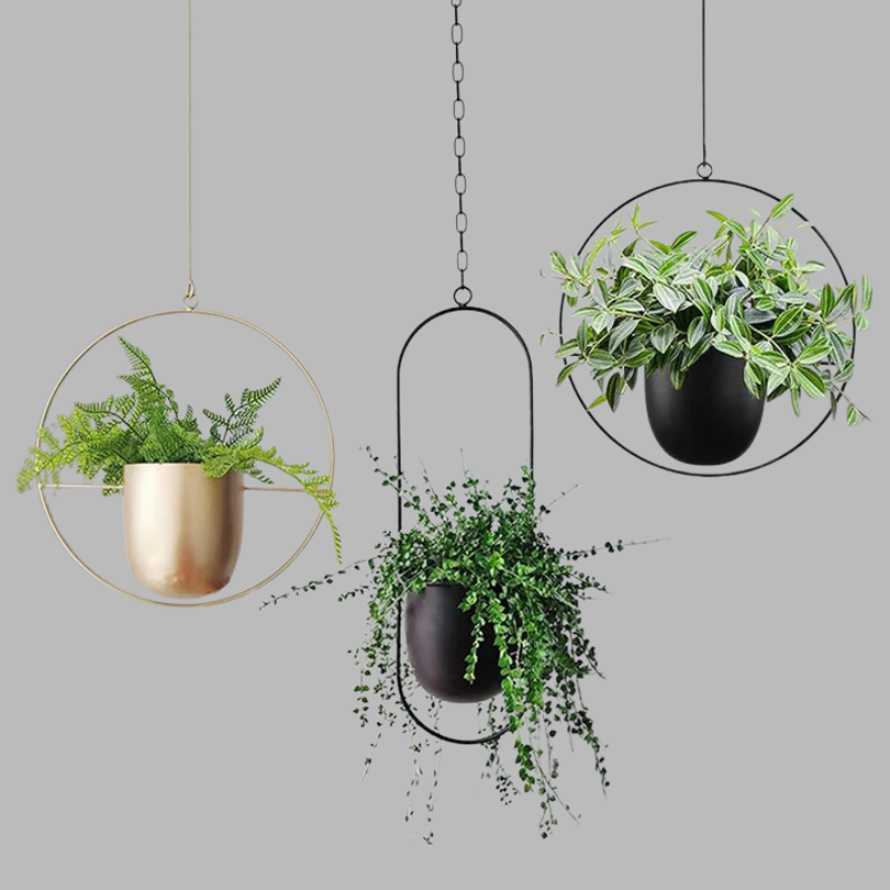 Modern Wall Planter Display – Minimalist Hanging Plant Holder