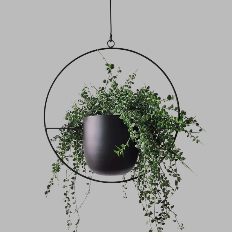 Modern Wall Planter Display – Minimalist Hanging Plant Holder
