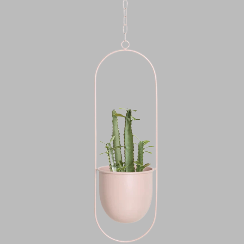 Modern Wall Planter Display – Minimalist Hanging Plant Holder