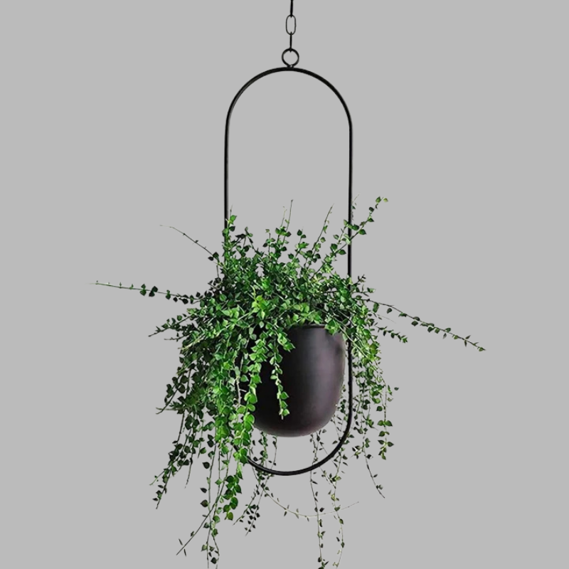 Modern Wall Planter Display – Minimalist Hanging Plant Holder