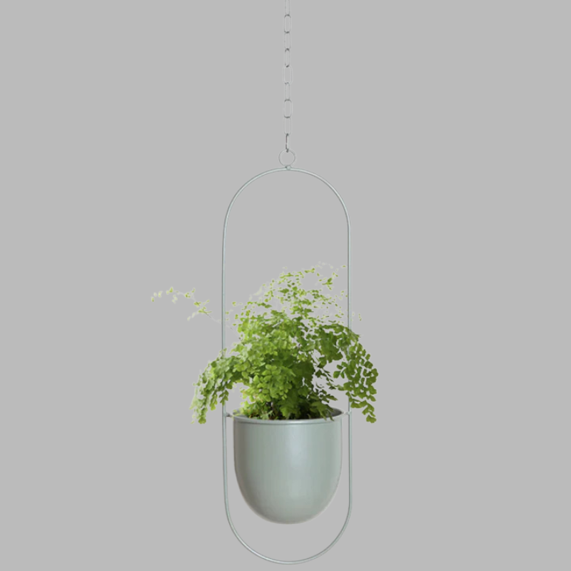 Modern Wall Planter Display – Minimalist Hanging Plant Holder