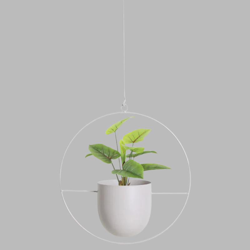 Modern Wall Planter Display – Minimalist Hanging Plant Holder