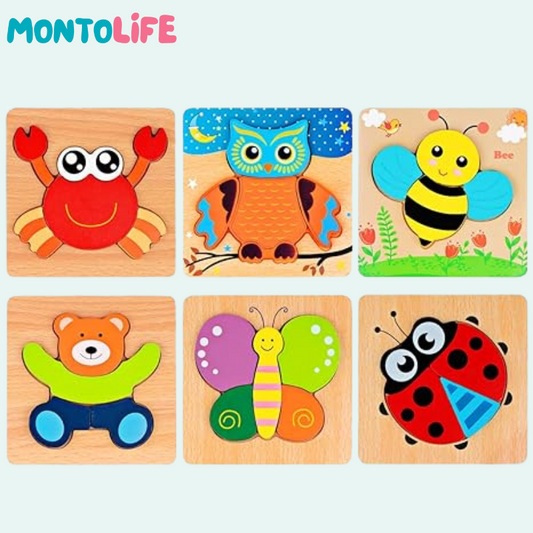 Joyful Brain Teaser Set – 6-Pack Wooden Educational Puzzle Toys