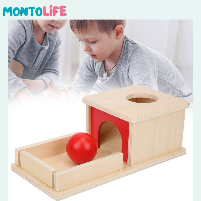 Peek-a-Boo Learning Box – Wooden Object Permanence Development Toy