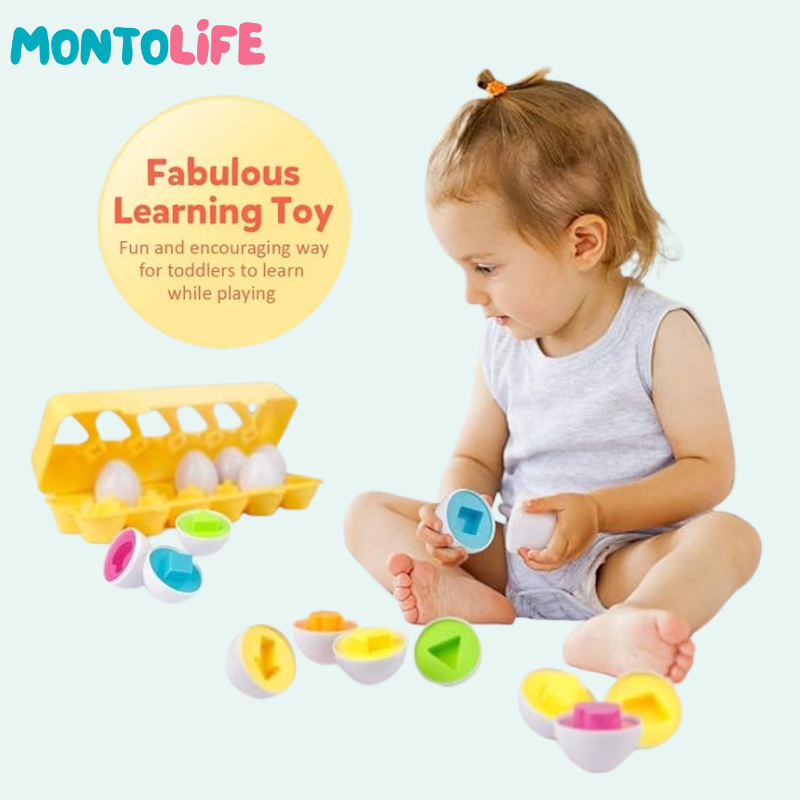 Shape Matching Eggs – Educational Geometry Learning Toy