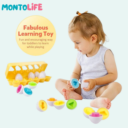 Shape Matching Eggs – Educational Geometry Learning Toy