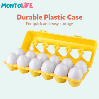 Shape Matching Eggs – Educational Geometry Learning Toy
