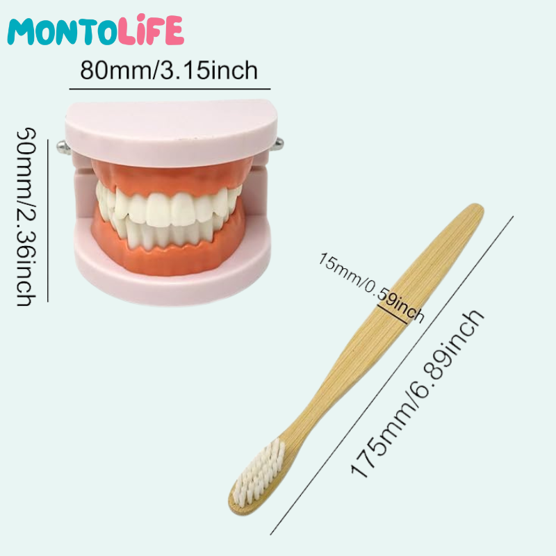 Toothbrushing Set – Fun Learning Kit for Healthy Habits & Daily Routines
